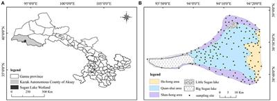 Temporal and spatial characteristics of vegetation coverage and their influencing factors in the Sugan Lake wetland on the northern margin of the Qinghai–Tibet Plateau